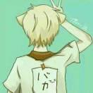 鼎晨的个人资料头像