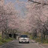 AA-Tomorrow头像