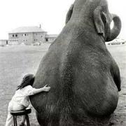 二月七日雪的个人资料头像