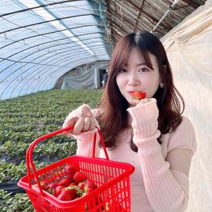 沈白夏头像