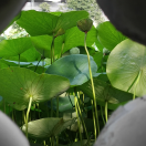 刀一文的个人资料头像