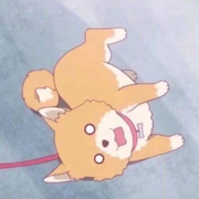 小c爱学习104043的个人资料头像