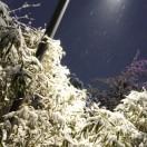 凯旋在掘金的个人资料头像