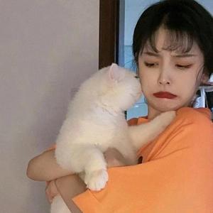 小芸爱撸猫😽😽头像