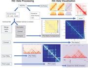 bioinformaticspromax的个人资料头像