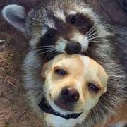 额_好的个人资料头像