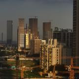 海王行天下头像