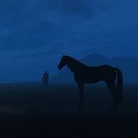 懂车帝啥都不懂头像