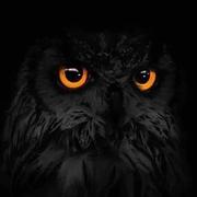 用户4842433951307的个人资料头像