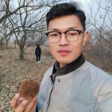 Sanking鑫头像