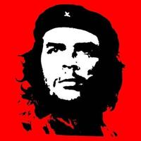 敏锐凤城0x6头像