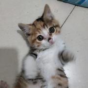 xiao1326206149的个人资料头像