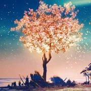 用户6061545936505的个人资料头像