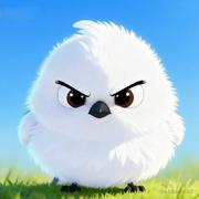 不喜雀的个人资料头像