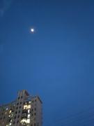 后风的个人资料头像