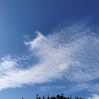 用户3119844153371头像