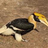 落幕的繁星X头像