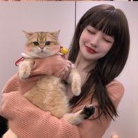 小妍懂车头像