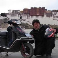 在路上强子头像