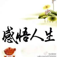丢弃规则头像