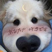 太阳是我捏圆的的个人资料头像