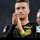 河的第三条岸的个人资料头像