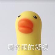 Frankz的个人资料头像