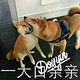树哲齐 · 发现运动版车主·车龄4年头像