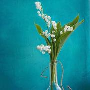 灿烂烟火621的个人资料头像