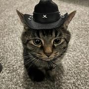 Raelbb的个人资料头像