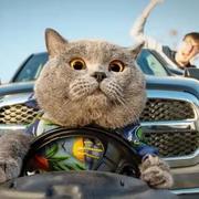 无名之辈683的个人资料头像