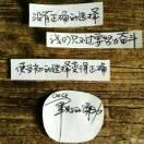 飞向蓝天的个人资料头像