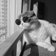 秋枫253的个人资料头像