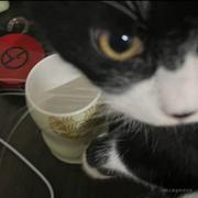 yiii的个人资料头像