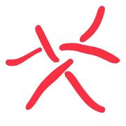 AuraVan的个人资料头像