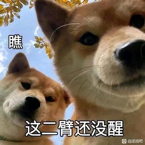 我才是汤小豆头像