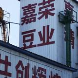 建三江农垦嘉荣豆业头像