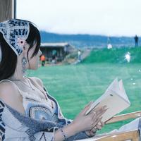 大王椰子也头像