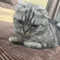仙游小鱼儿QQ头像