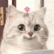 小小少年_的个人资料头像