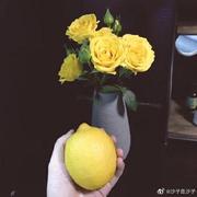 shazi2925的个人资料头像