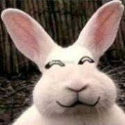 用户3452207920856的个人资料头像