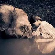 大白502的个人资料头像