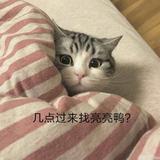 ʚɞ3718头像