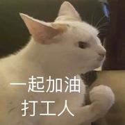 李菜菜的铲屎官的个人资料头像