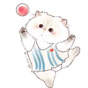 美美的Rita的个人资料头像