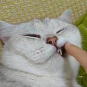 用户80577923128的个人资料头像
