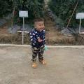 春林219295586头像