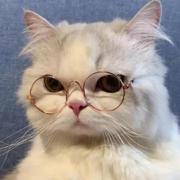 印象88的个人资料头像