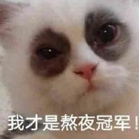 远见卓识远山oK头像